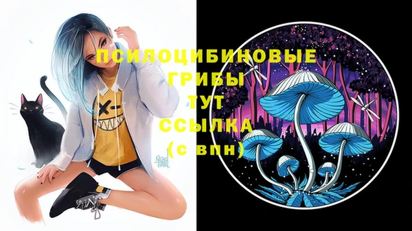кокаин премиум Медногорск