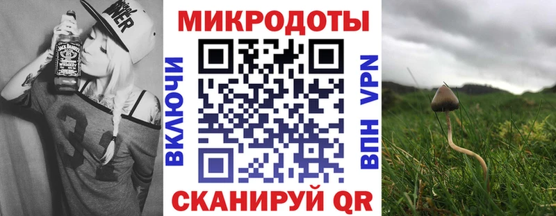 где купить наркоту  KRAKEN ссылки  дарк нет какой сайт  Мураши  Галлюциногенные грибы мицелий 